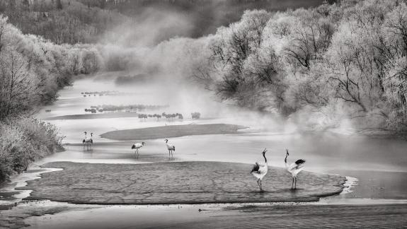 Singing in the morning