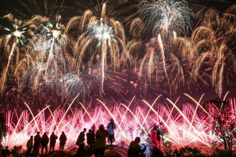 Fireworks bloom in full bloom 19