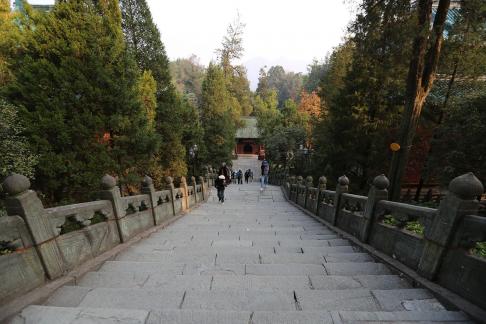 Journey to the Mountains 37