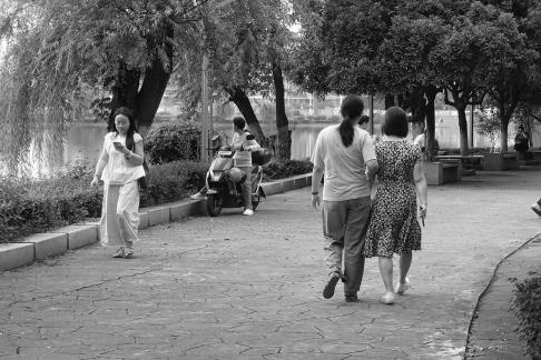 Between Pink and Green