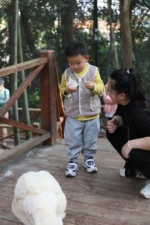 Play with the baby 3