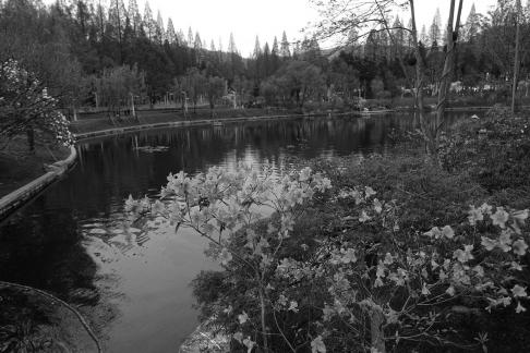 A pool of spring water