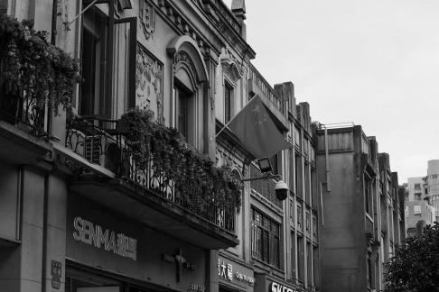 Gray toned floating growth 5