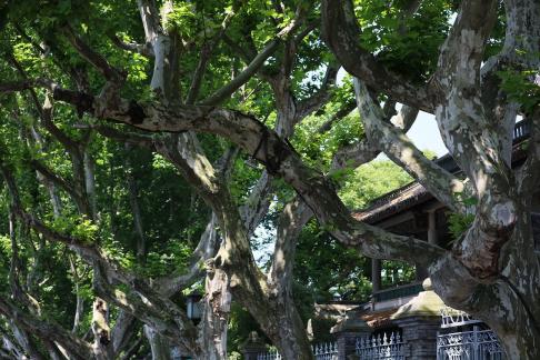 Pavilions are like roofs