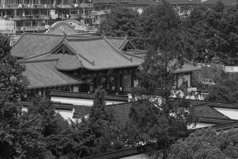 City forest overlapping green 3