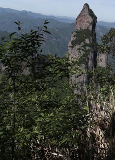 Green environment 14