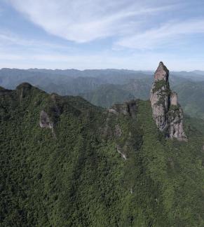 Green environment 16