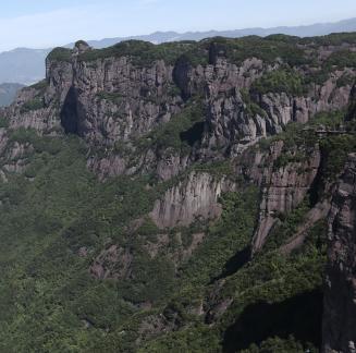 Green environment 17