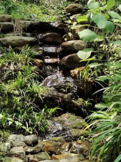 Empty Mountain Jade Wash 1