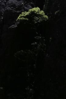 Green between cliffs 18