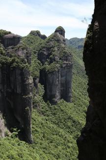 Green between cliffs 19