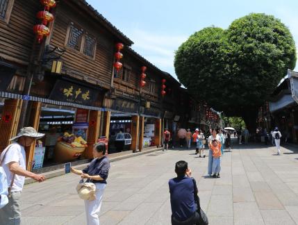 Watchman in front of the door 15