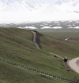 Seeing the snow capped mountains 15