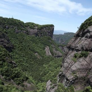 Mountain vegetation 13