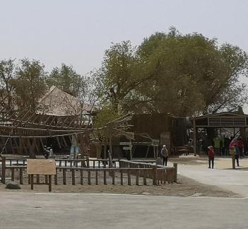 Forest building language 1