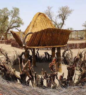 Forest building language 3