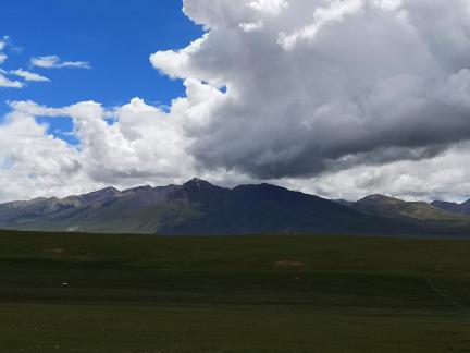 Yunmu Green Field 25