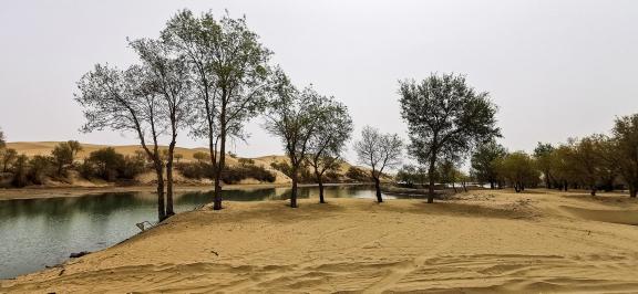 Shallow pond reflecting autumn 5