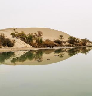 Shallow pond reflecting autumn 8
