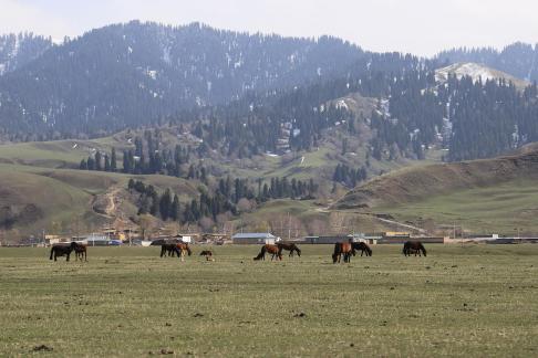 Dian Shang Pastoral Song 6