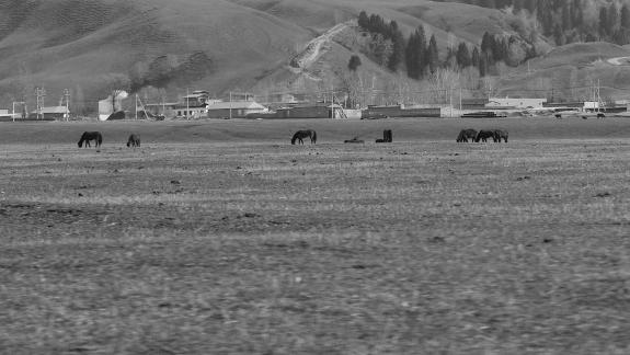 Dian Shang Pastoral Song 1