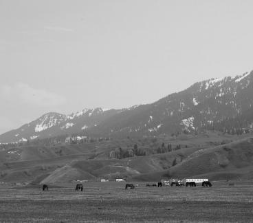 Dian Shang Pastoral Song 2