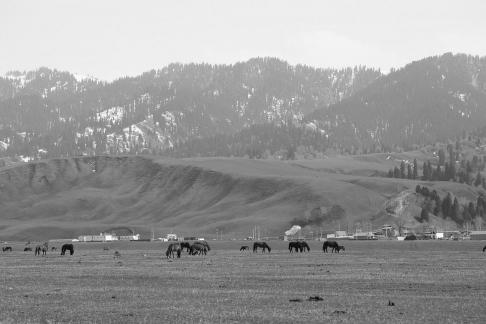 Dian Shang Pastoral Song 3