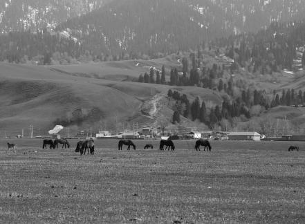 Dian Shang Pastoral Song 4