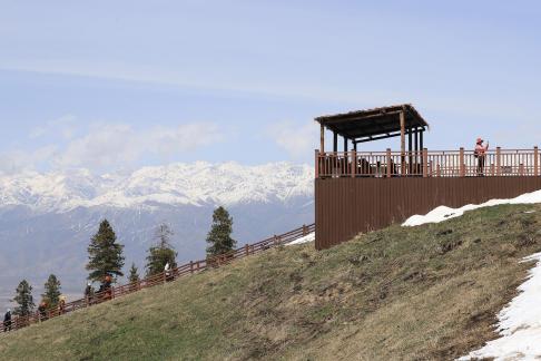 Snowy Ridge Pine Plains 19