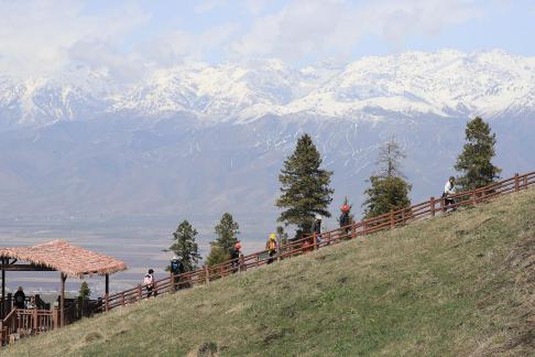 Snowy Ridge Pine Plains 20