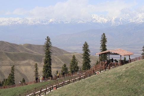 Snowy Ridge Pine Plains 21