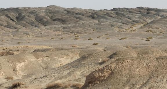 Rift Valley Morning Light 22