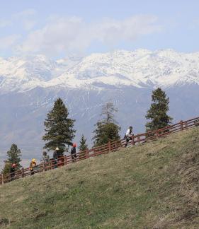 Snowy Ridge Pine Plains 18