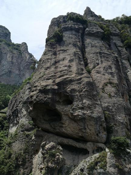 Green Wilderness and Tranquility 22