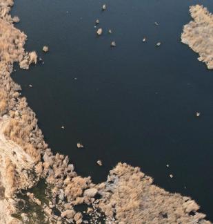 The vast expanse of reed marshes 17