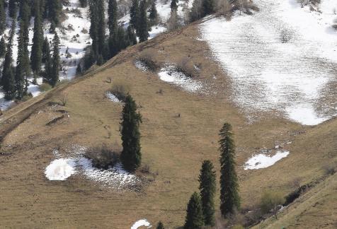 Snow on Cold Mountain 13