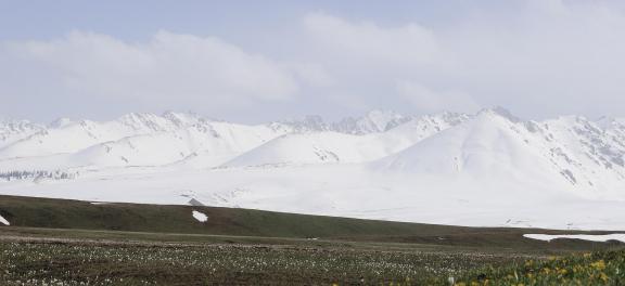 Snow on Cold Mountain 15