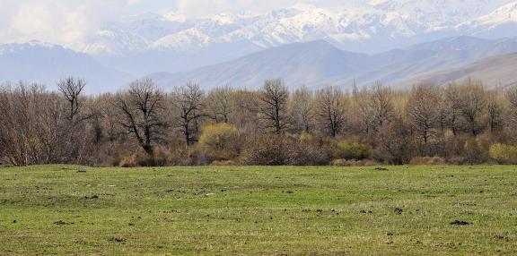 Autumn View of Cold Mountain 13