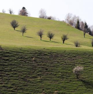 Autumn View of Cold Mountain 14