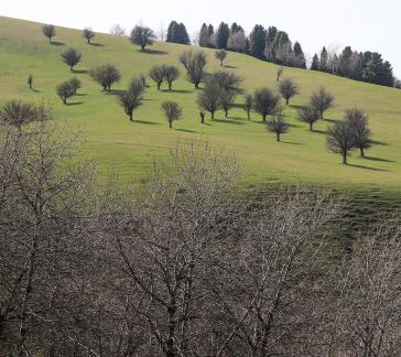 Autumn View of Cold Mountain 16