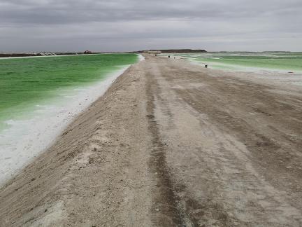 Green Salt Lake 8