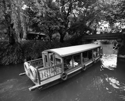 Singing on the green waves 1