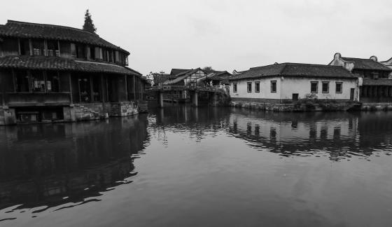 Singing on the green waves 4