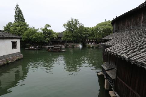 Singing on the green waves 15