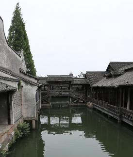 Singing on the green waves 16