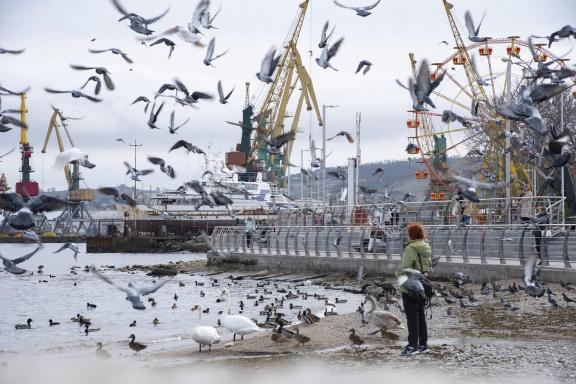 At the port