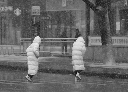 Snowflakes Dancing in the World 22