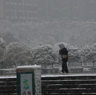 Snowflakes Dancing in the World 26