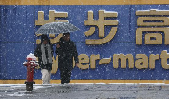 Snowflakes Dancing in the World 27