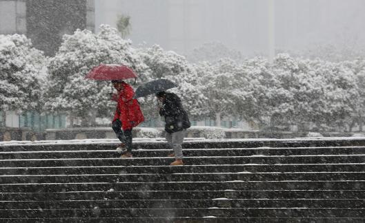 Snowflakes Dancing in the World 31